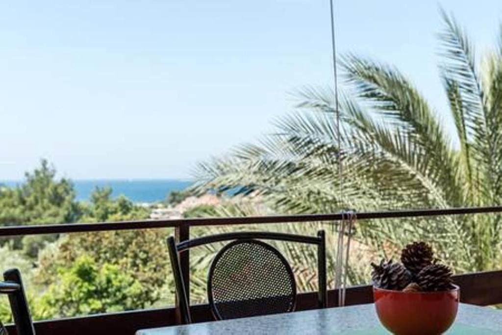 Apartment Vesna Vela Luka Buitenkant foto